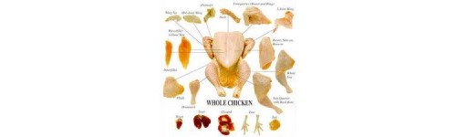 Halal Chicken
