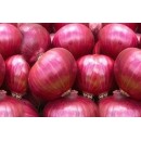 Red onion.  10 kg 
