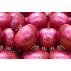 Red onion.  1kg 