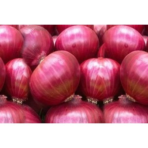 Red onion.  10 kg 