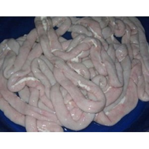 Beef intestine