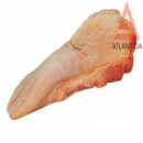 Mutton tongue