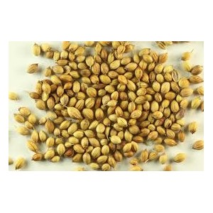 Coriander whole