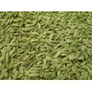  Fennel Seeds