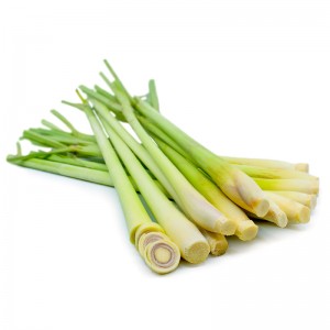 LEMON GRASS